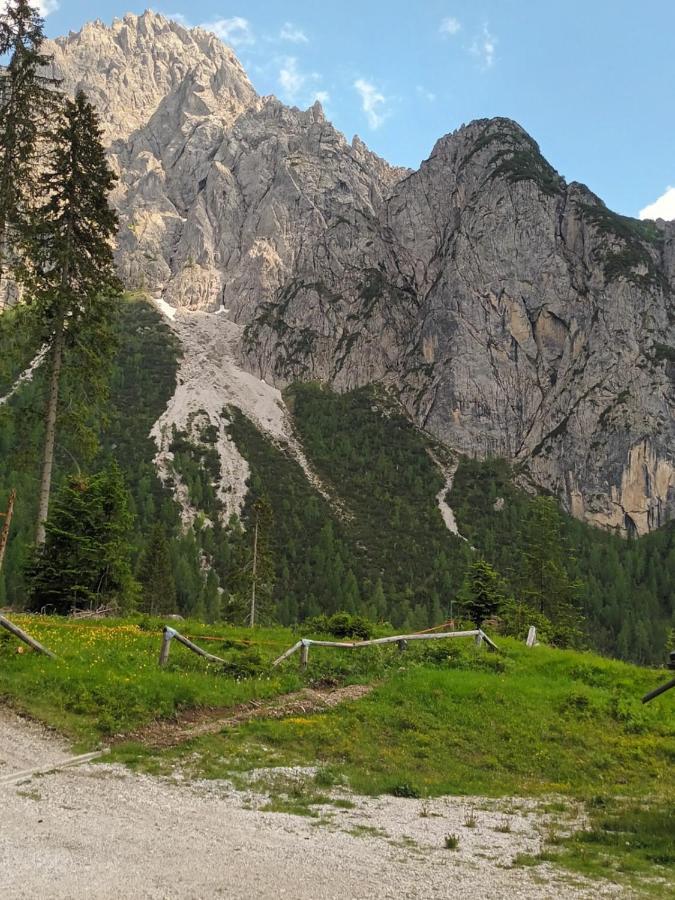 Appartamenti Patrizia San Pietro di Cadore Dış mekan fotoğraf