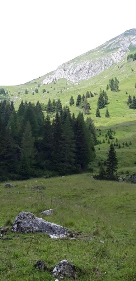 Appartamenti Patrizia San Pietro di Cadore Dış mekan fotoğraf