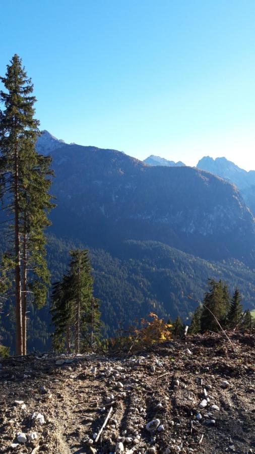 Appartamenti Patrizia San Pietro di Cadore Dış mekan fotoğraf