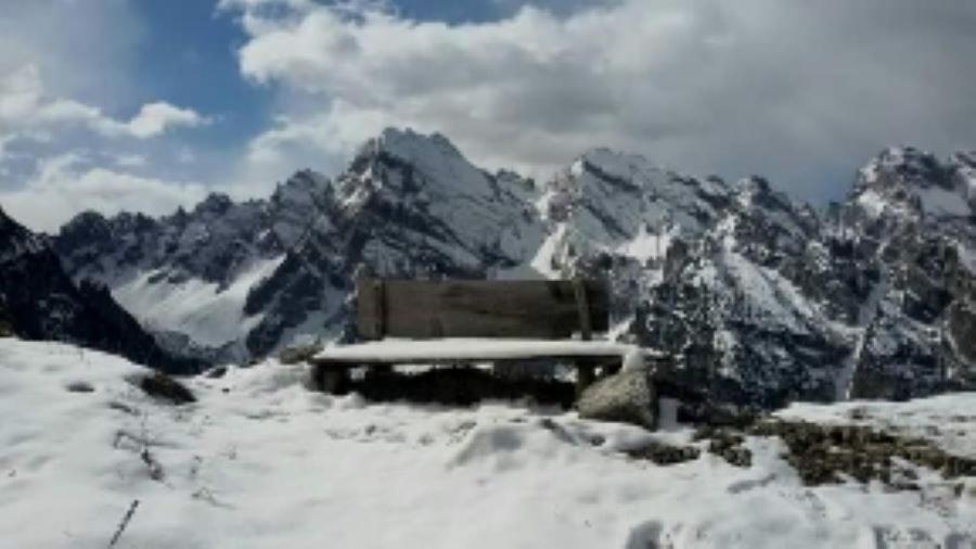 Appartamenti Patrizia San Pietro di Cadore Dış mekan fotoğraf