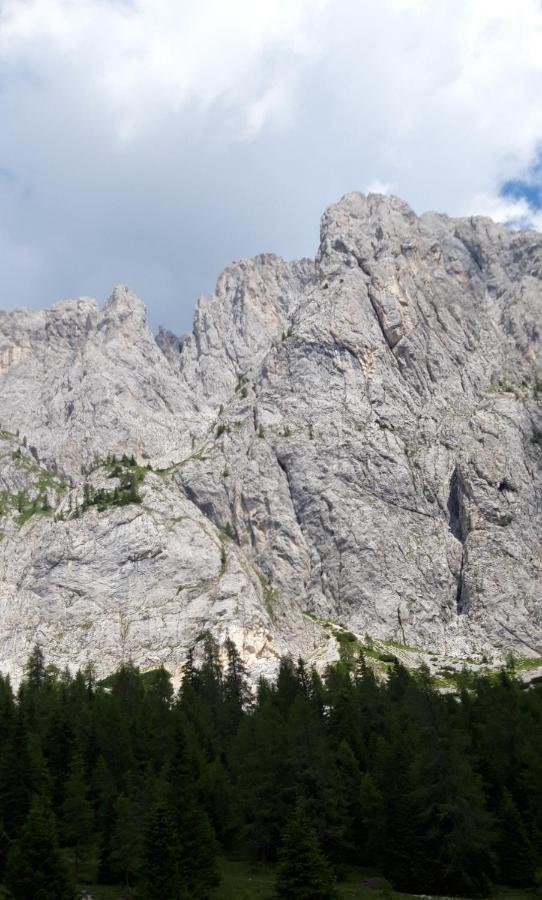 Appartamenti Patrizia San Pietro di Cadore Dış mekan fotoğraf