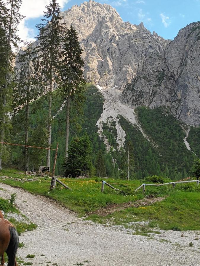 Appartamenti Patrizia San Pietro di Cadore Dış mekan fotoğraf